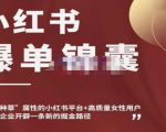 小红书爆单锦囊，自带种草属性+高质量女性用户，为你的企业开辟一条新的掘金路径-一号资源库