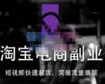 蓝Sir派·淘宝短视频快速起店，替代传统搜索方式，学会做一个不一样的淘宝店-一号资源库