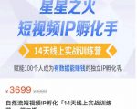 瑶瑶·自然流短视频IP孵化第二期，14天线上实战训练营，赋能100个人成为有数据能赚钱的独立IP孵化手-一号资源库