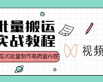 视频号批量搬运实战操作运营赚钱教程，傻瓜式批量制作高质量内容【附视频教程+PPT】-一号资源库