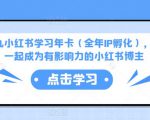 厦九九小红书学习年卡（全年IP孵化），沉浸式学习，一起成为有影响力的小红书博主-一号资源库