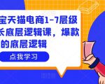 大圣淘宝天猫电商1-7层级盈利增长底层逻辑课，爆款的底层逻辑-一号资源库