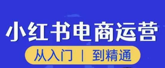 顽石小红书电商高阶运营课程，从入门到精通，玩法流程持续更新-一号资源库