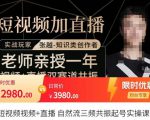 张越·短视频+直播,自然流三频共振起号实操课,短视频所有流量玩法讲解-一号资源库