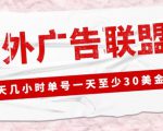 外面收费1980的最新国外LEAD广告联盟搬砖项目，单号一天至少30美金【详细玩法教程】-一号资源库