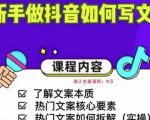 新手做抖音如何写文案，手把手实操如何拆解热门文案-一号资源库