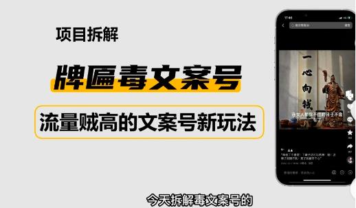 2023抖音快手毒文案新玩法,牌匾文案号,起号快易变现