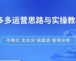 拼多多店铺运营思路与实操教程，快速学会拼多多开店和运营，少踩坑，多盈利-一号资源库