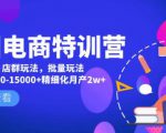 美团电商特训营：美团·店群玩法，无脑铺货月产出6000-15000+精细化月产2w+-一号资源库
