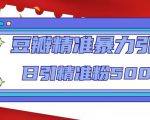 豆瓣精准暴力引流，日引精准粉500+【12课时】-一号资源库