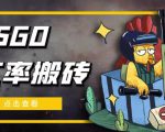 外面9800的CSGO汇率搬砖项目，一个月轻松赚几千【选品软件+详细教程】-一号资源库