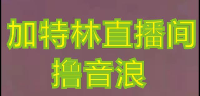 抖音加特林直播间搭建技术，抖音0粉开播，暴力撸音浪，2023新口子，每天800+【素材+详细教程】-一号资源库