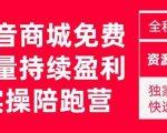 抖音商城搜索持续盈利陪跑成长营，抖音商城搜索从0-1、从1到10的全面解决方案-一号资源库