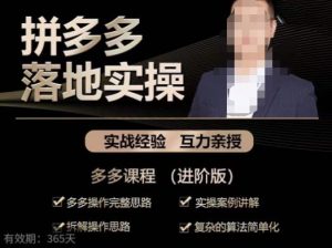 拼多多实战篇·落地实操:多多操作完整思路+实操案例讲解+拆解操作思路+复杂的算法简单化-一号资源库