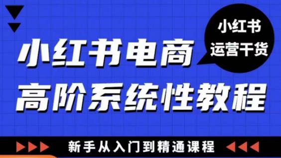 小红书电商高阶系统教程，新手从入门到精通系统课-一号资源库