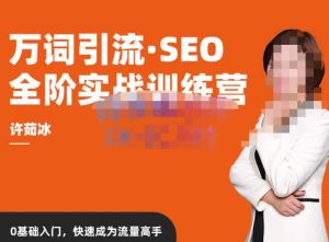 许茹冰·万词引流-SEO全阶实战训练营，0基础入门，快速成为流量高手-一号资源库