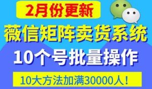 微信矩阵卖货系统,多线程批量养10个微信号,10种加粉落地方法,快速加满3W人卖货!-一号资源库