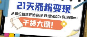 21天精准涨粉变现干货大课：从10位粉丝开始变现月增5000+变现20w+-一号资源库