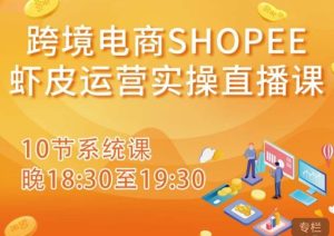 跨境电商Shopee虾皮运营实操直播课，从零开始学，入门到精通（10节系统课）-一号资源库