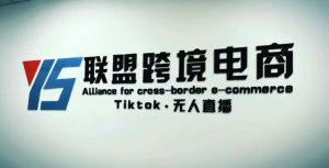 YS联盟·Tiktok无人直播，不出镜不剪辑不拍摄不发货无售后的跨境短视频躺赚玩法-一号资源库