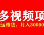 多多带货视频快速50爆款拿带货资格，搬运带货，月入30000【全套脚本+详细玩法】-一号资源库