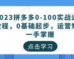 2023拼多多0-100实战运营教程,0基础起步,运营知识一手掌握-一号资源库