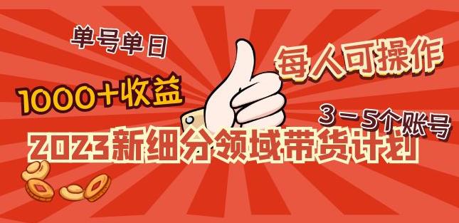 2023新细分领域带货计划：单号单日1000+收益不难，每人可操作3-5个账号-一号资源库