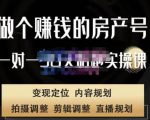 刘广标·同城房产号线上陪跑课,拍摄、剪辑、写文案、直播,做一个具有潜力价值的房产号-一号资源库