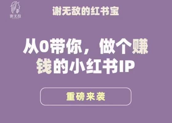 谢无敌·小红书运营大宝典，从0带你做个赚钱的小红书IP-一号资源库