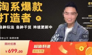 锋投老叶全店动销，淘系干货汇总，各种玩法，淘系爆款打造者-一号资源库