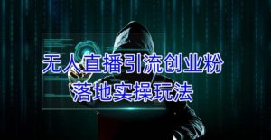 外面收费3980的无人直播引流创业粉落地实操玩法，单日引100+精准创业粉-一号资源库