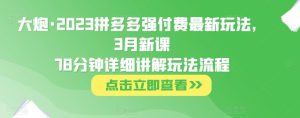 大炮·2023拼多多强付费最新玩法，3月新课​78分钟详细讲解玩法流程-一号资源库