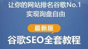 谷歌SEO实战教程：如何让你的网站在谷歌排名第一，内容从入门到高阶，适合个人及团队-一号资源库