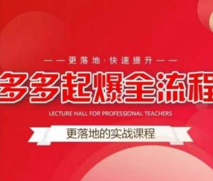 互力-多多新品打爆全流程，拼多多14天拉搜索自然流量，更落地·快速提升-一号资源库