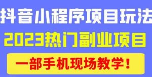 抖音小程序9.0新技巧，2023热门副业项目，动动手指轻松变现-一号资源库