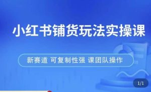 小红书铺货玩法实操课,流量大,竞争小,非常好做,新赛道,可复制性强,可团队操作-一号资源库