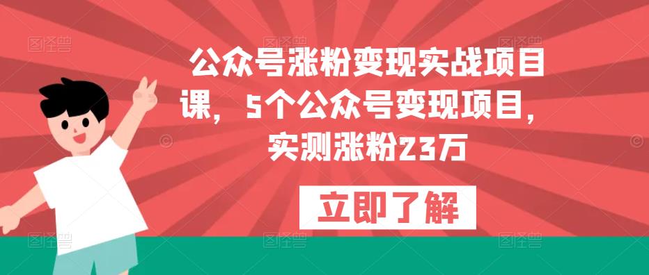 公众号涨粉变现实战项目课，5个公众号变现项目，实测涨粉23万-一号资源库