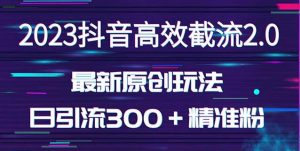 日引300＋创业粉，独家抖音高效截流2.0玩法（价值1280）-一号资源库