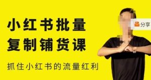 张宾·小红书批量复制铺货课,小红书0-1快速起号变现玩法,抓住小红书的流量红利(更新2023年3月)-一号资源库