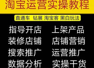 2023淘宝开店教程0基础到高级全套视频网店电商运营培训教学课程-一号资源库