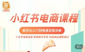 小红书电商新手入门到精通实操课，从入门到精通做爆款笔记，开店运营-一号资源库