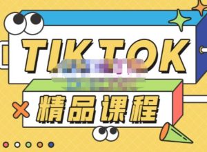 电商孵化中心·TikTok精品课程,教你玩转海外抖音,低成本创业,带您从0开始玩转TikTok-一号资源库