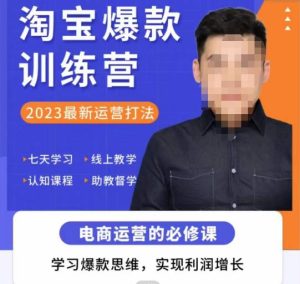 爱上黄昏·淘宝爆款训练营，2023最新运营打法，学习爆款思维，实现利润增长-一号资源库