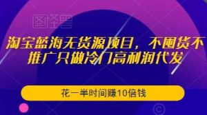 淘宝蓝海无货源项目,不囤货不推广只做冷门高利润代发,花一半时间赚10倍钱-一号资源库