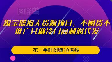 淘宝蓝海无货源项目，不囤货不推广只做冷门高利润代发，花一半时间赚10倍钱-一号资源库