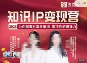 鹿盈盈-知识IP变现实操营，​普通人可复制的知识产品落地实操课，​带你打通知识IP变现底层逻辑-一号资源库