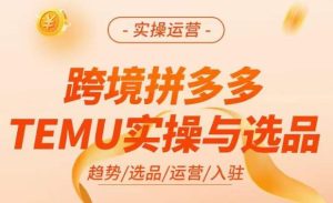 跨境拼多多TEMU实操与选品,掌握平台运营方法技巧,选品避坑12条标准,爆款的底层思路等-一号资源库