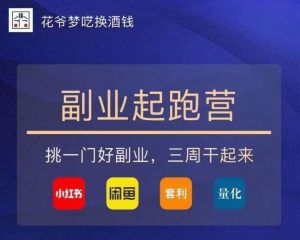 花爷-副业起跑营第2期，挑一门好副业，三周干起来（闲鱼｜小红书｜量化｜套利）-一号资源库