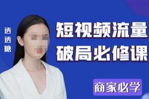 2023最新透糖短视频流量破局必修课——商家必学-一号资源库