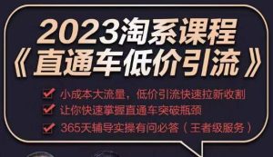 2023直通车低价引流玩法课程，小成本大流量，低价引流快速拉新收割，让你快速掌握直通车突破瓶颈-一号资源库